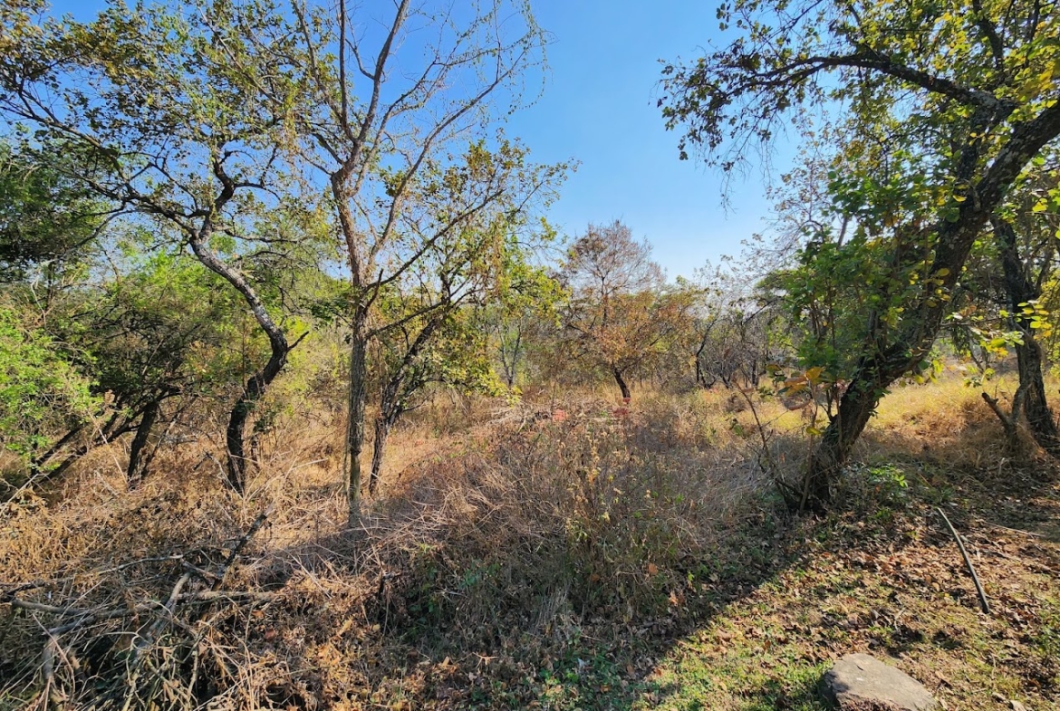 22-Hectare Self-Sufficient Estate – A Private Village with Excellent Rental Income