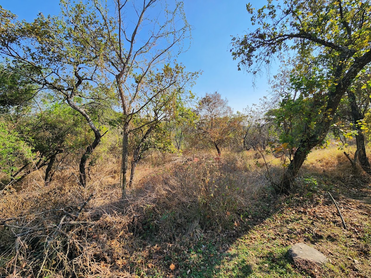 22-Hectare Self-Sufficient Estate – A Private Village with Excellent Rental Income