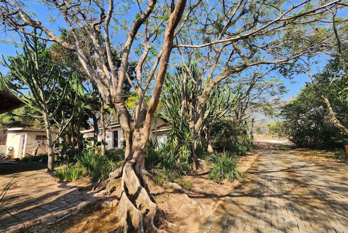 22-Hectare Self-Sufficient Estate – A Private Village with Excellent Rental Income