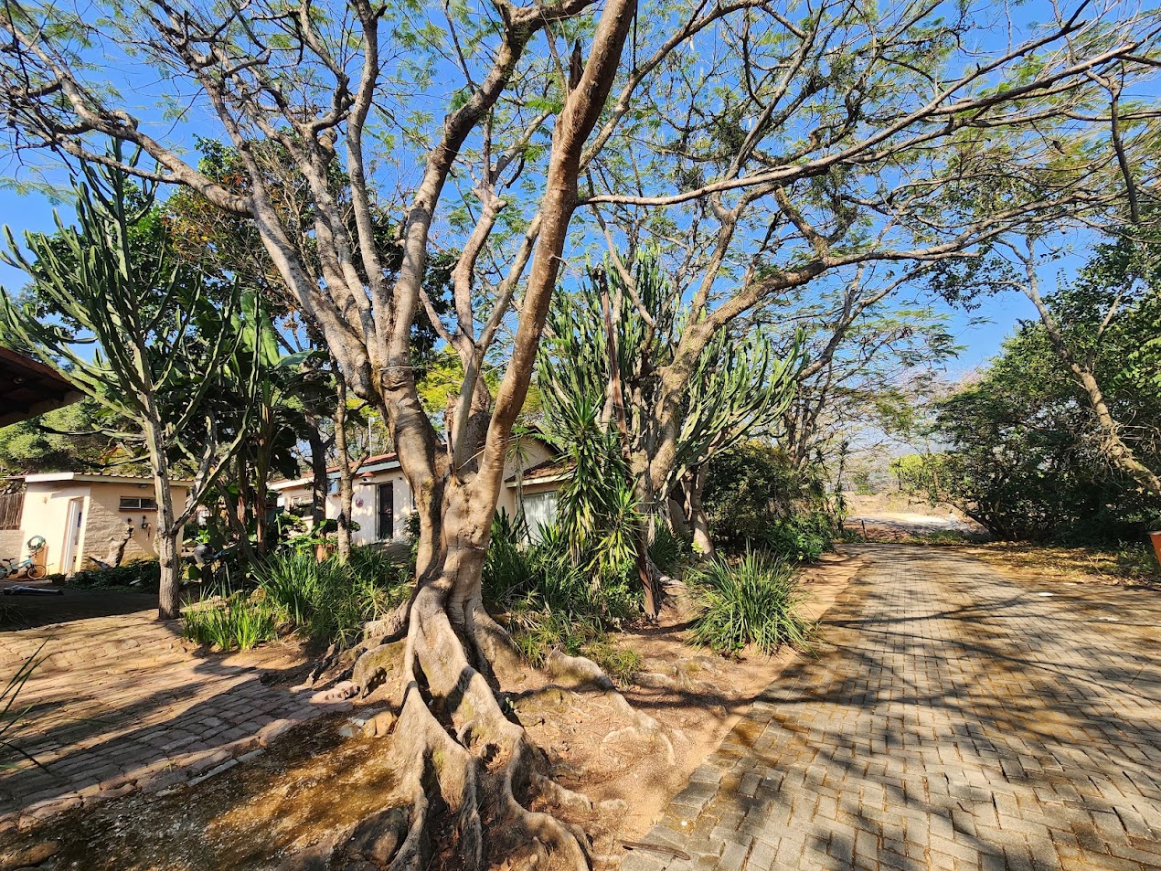 22-Hectare Self-Sufficient Estate – A Private Village with Excellent Rental Income