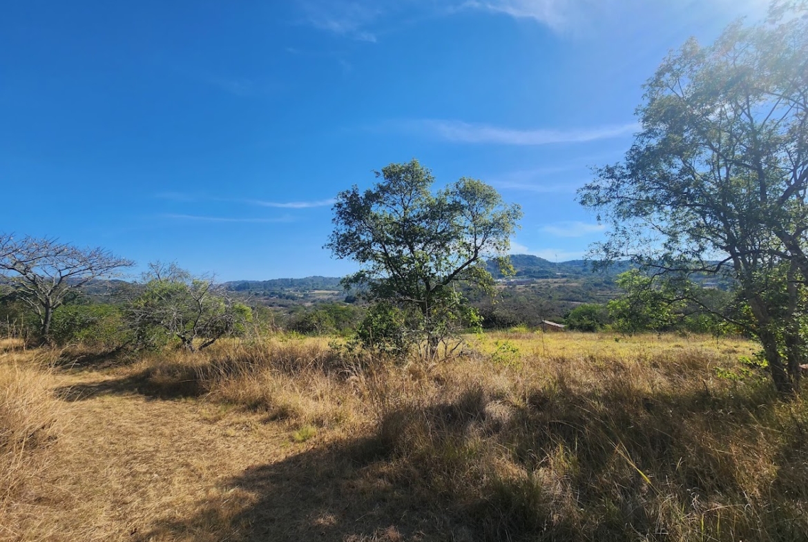 22-Hectare Self-Sufficient Estate – A Private Village with Excellent Rental Income