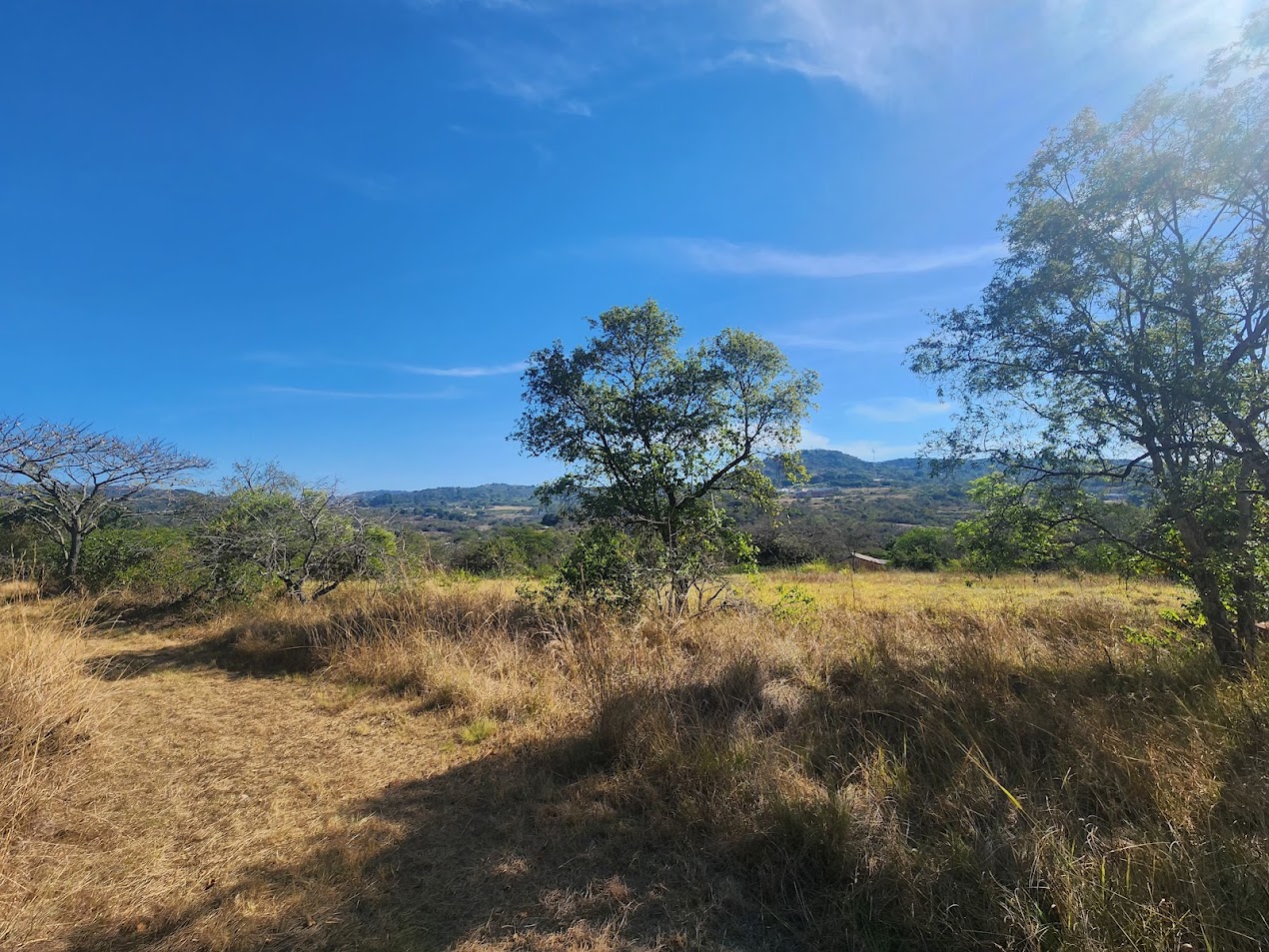 22-Hectare Self-Sufficient Estate – A Private Village with Excellent Rental Income