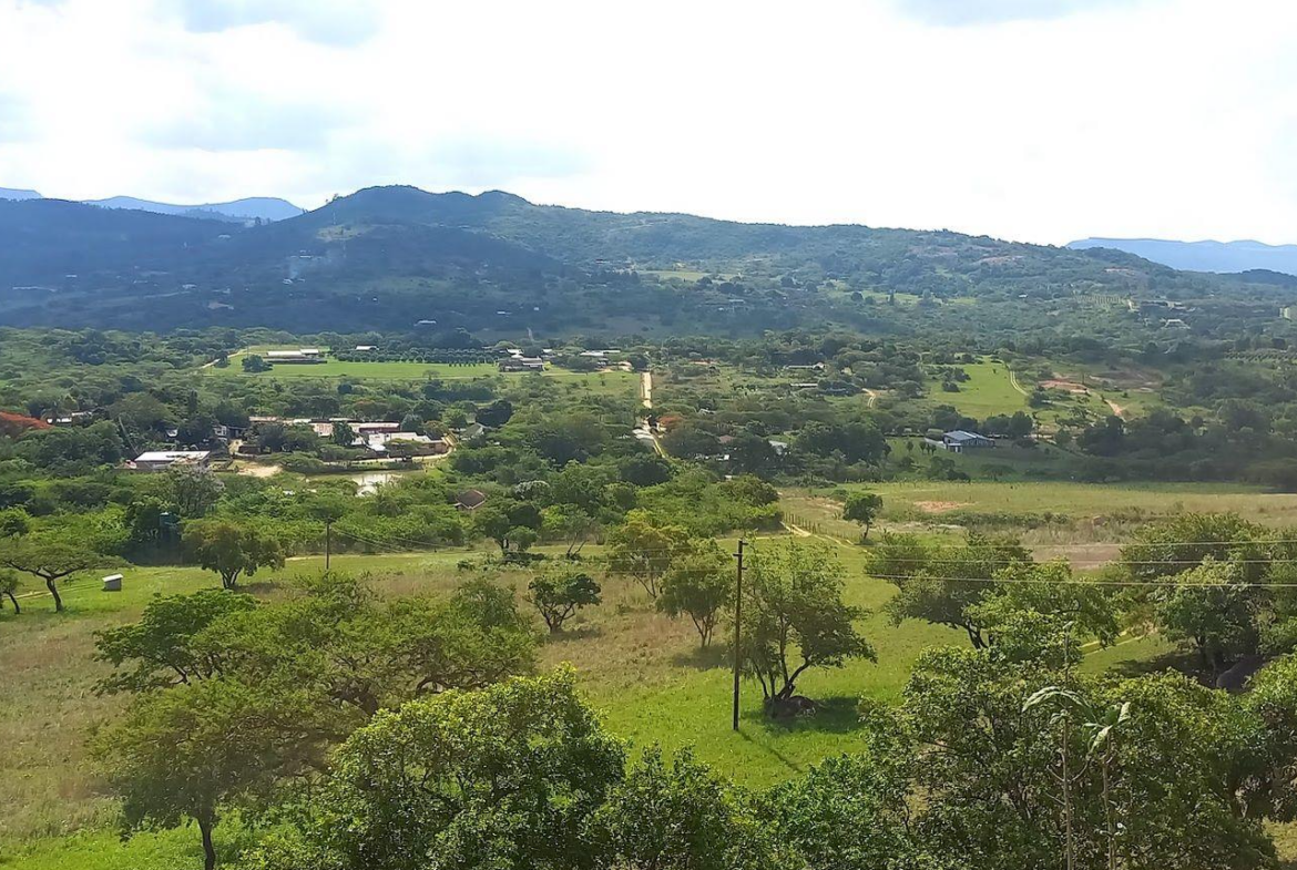 A Rare Opportunity – 5 Hectares of Country Living Close to Town