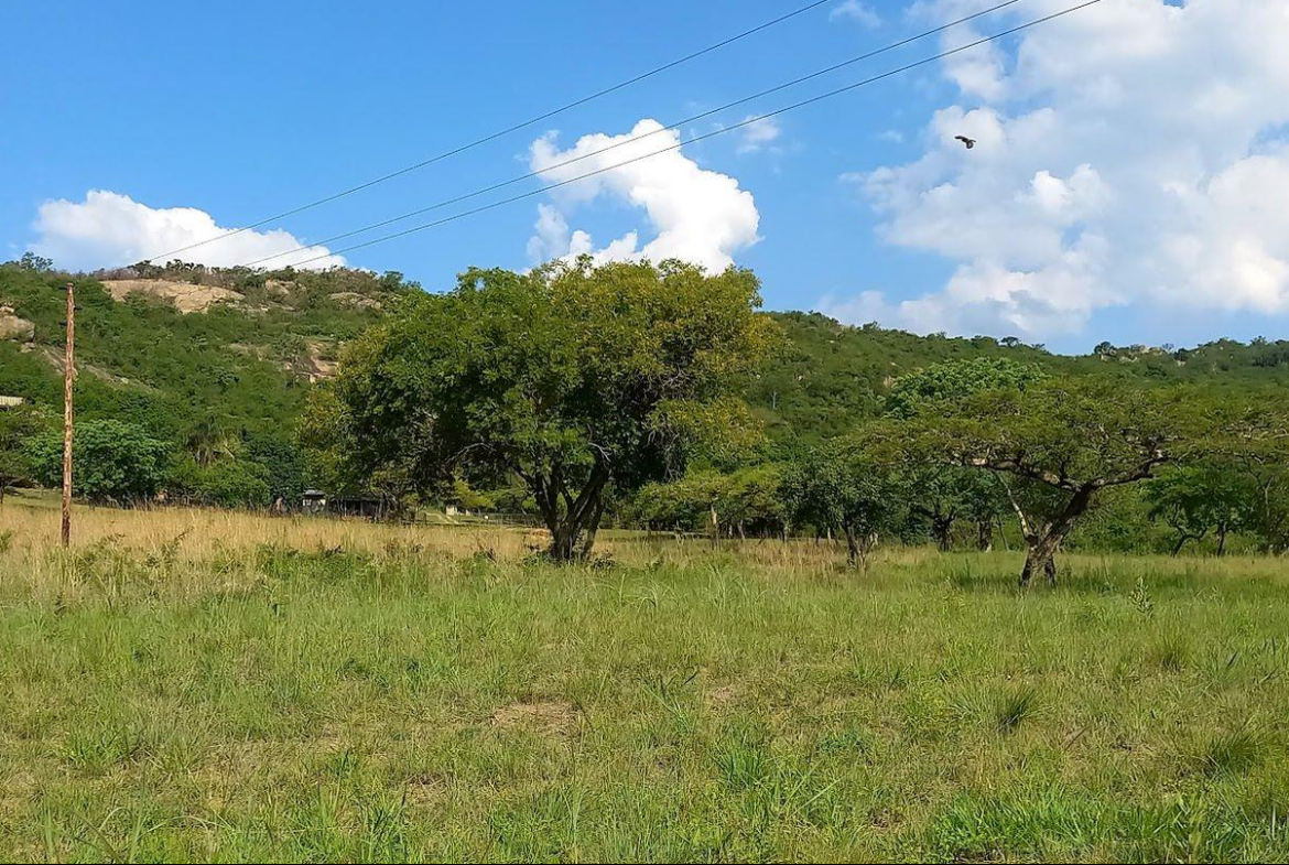 A Rare Opportunity – 5 Hectares of Country Living Close to Town