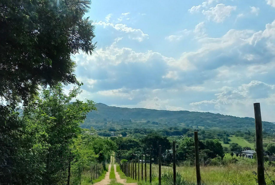 A Rare Opportunity – 5 Hectares of Country Living Close to Town