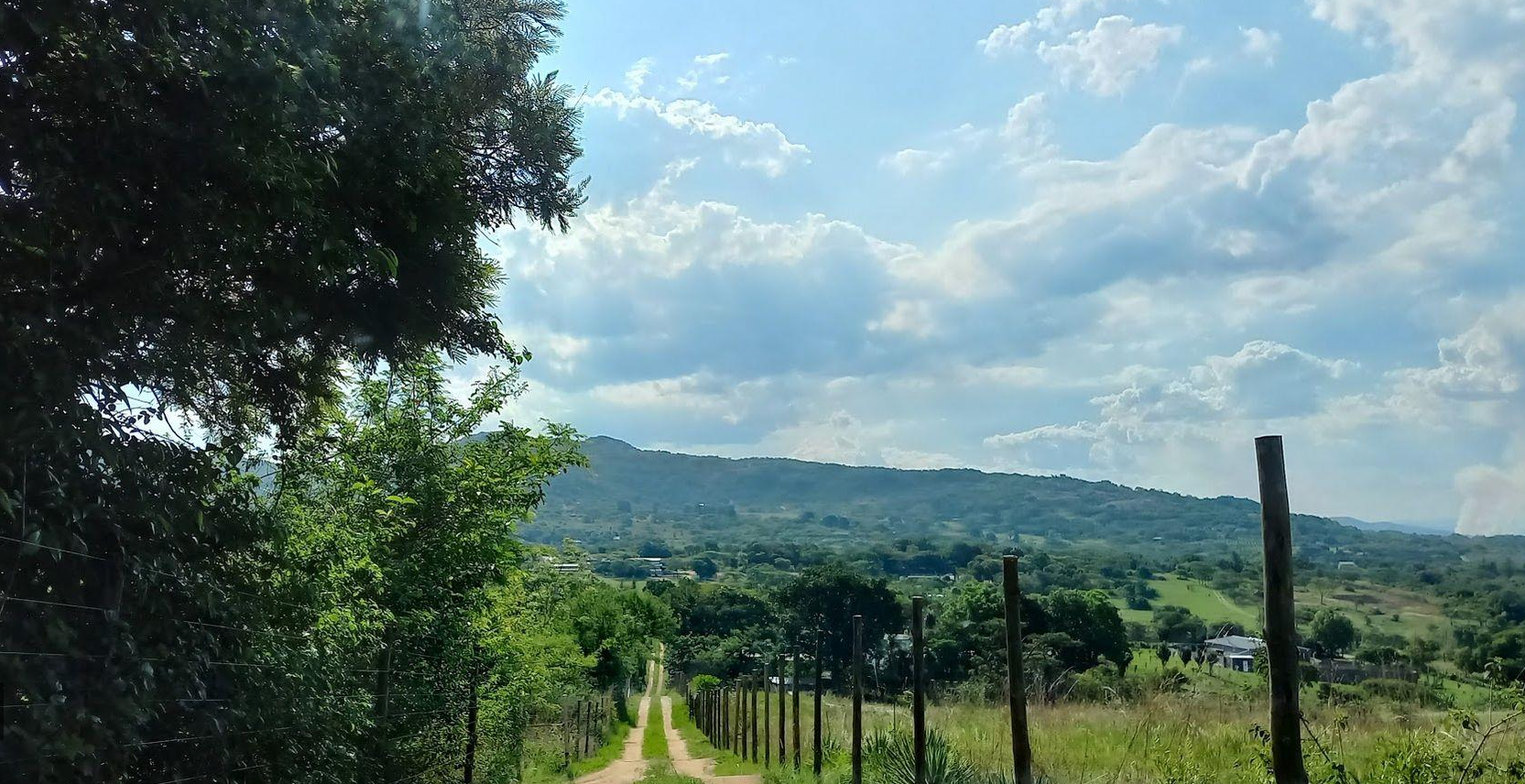 A Rare Opportunity – 5 Hectares of Country Living Close to Town