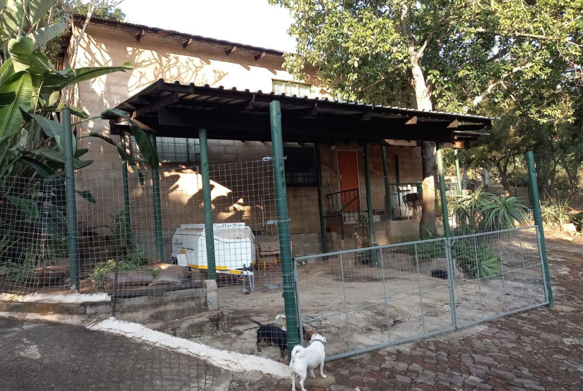 A Rare Opportunity – 5 Hectares of Country Living Close to Town