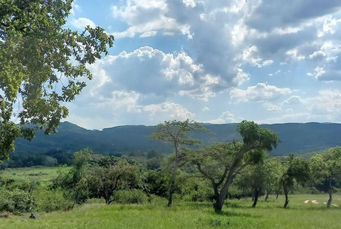 A Rare Opportunity – 5 Hectares of Country Living Close to Town