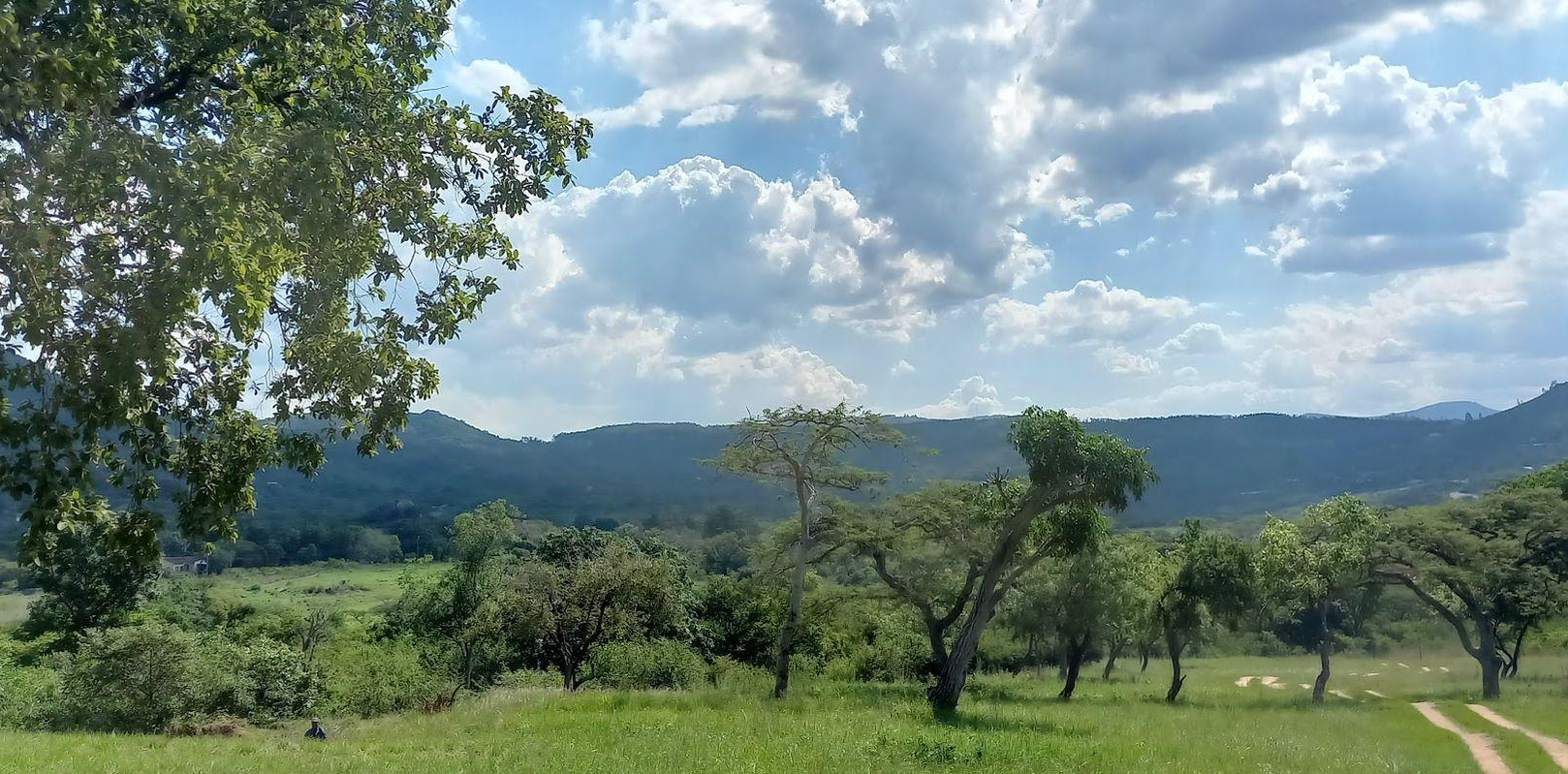 A Rare Opportunity – 5 Hectares of Country Living Close to Town