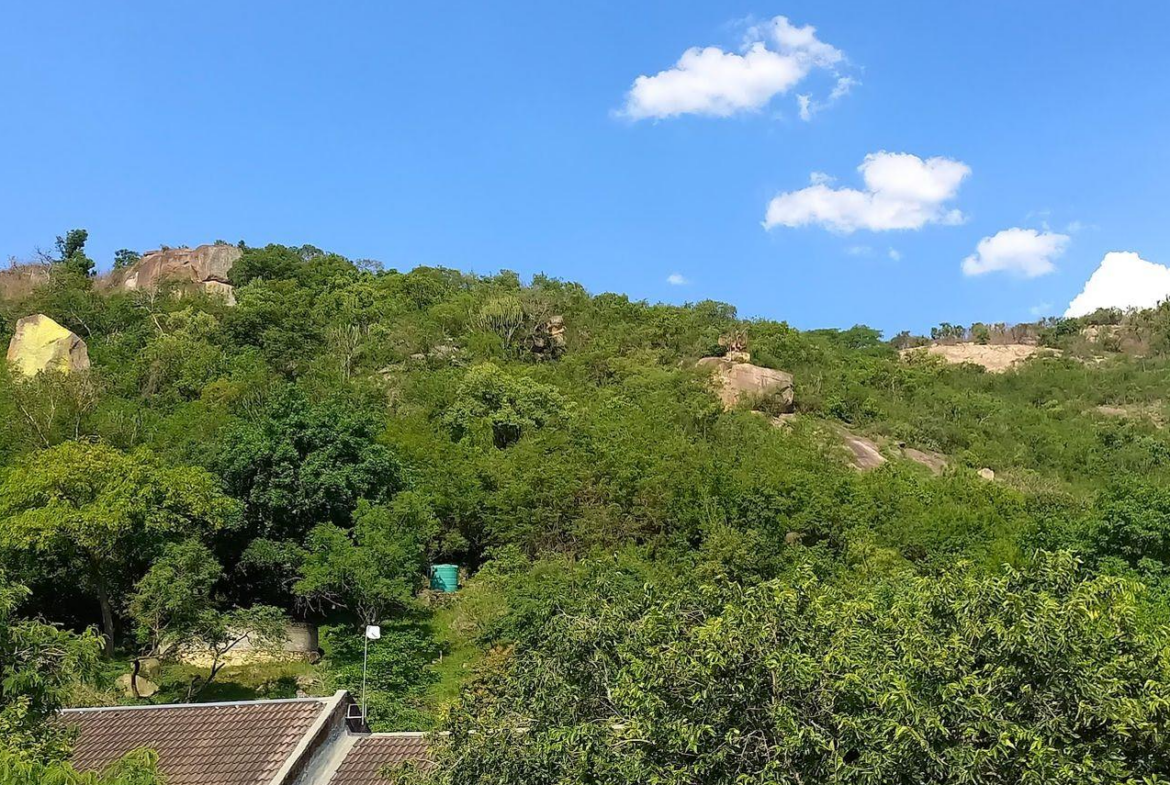 A Rare Opportunity – 5 Hectares of Country Living Close to Town
