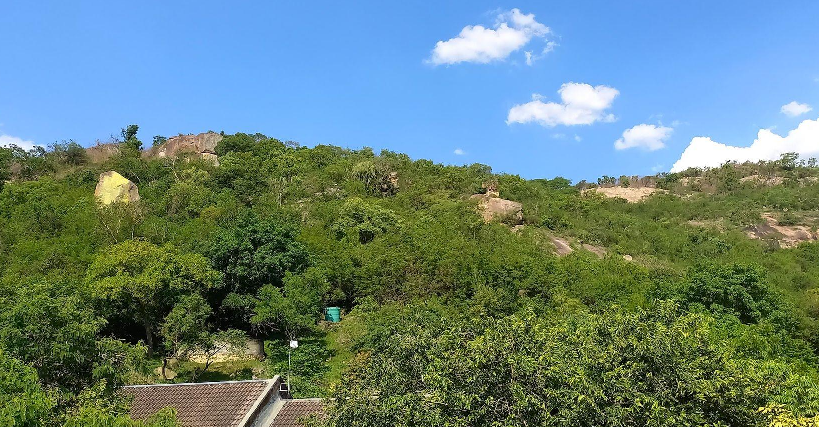 A Rare Opportunity – 5 Hectares of Country Living Close to Town