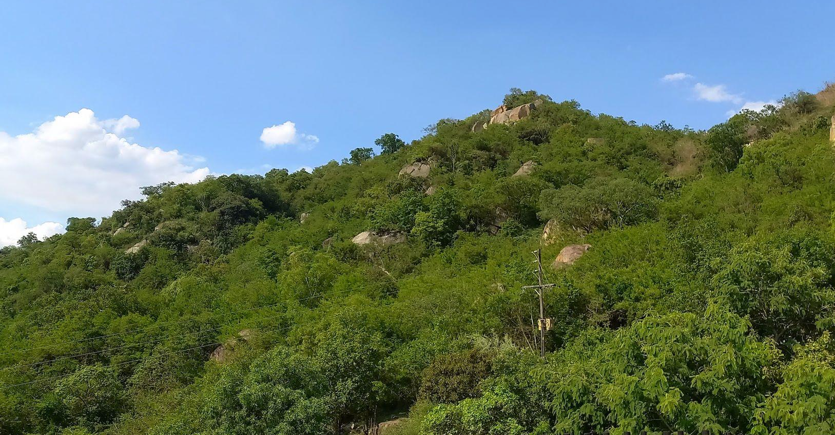 A Rare Opportunity – 5 Hectares of Country Living Close to Town