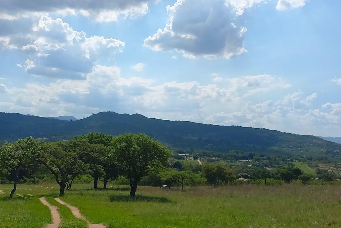 A Rare Opportunity – 5 Hectares of Country Living Close to Town