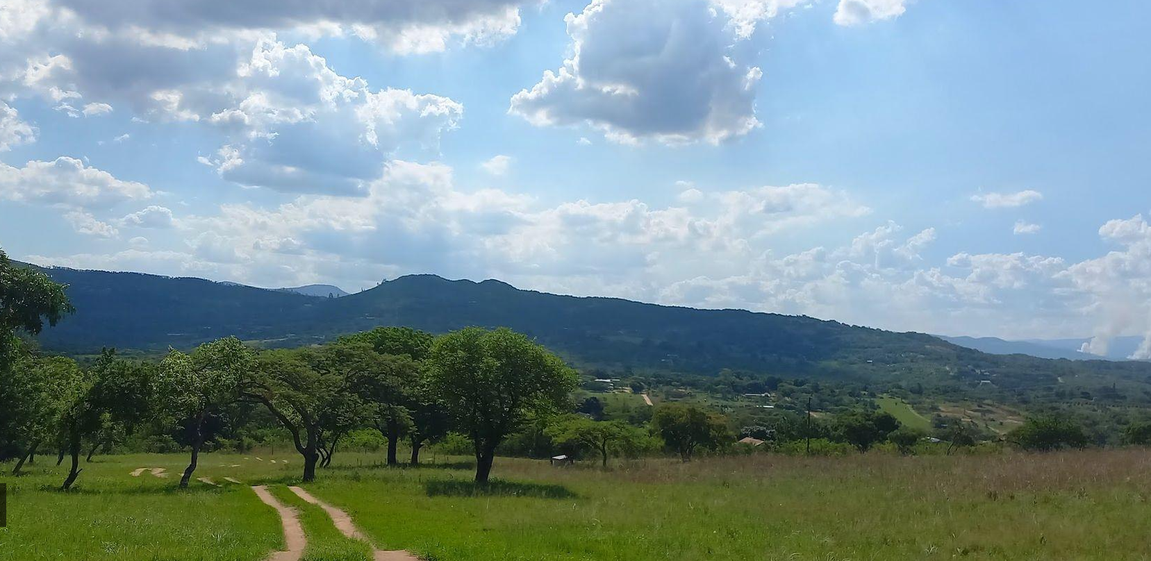A Rare Opportunity – 5 Hectares of Country Living Close to Town