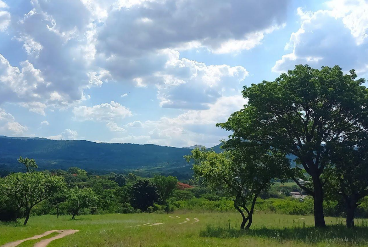 A Rare Opportunity – 5 Hectares of Country Living Close to Town