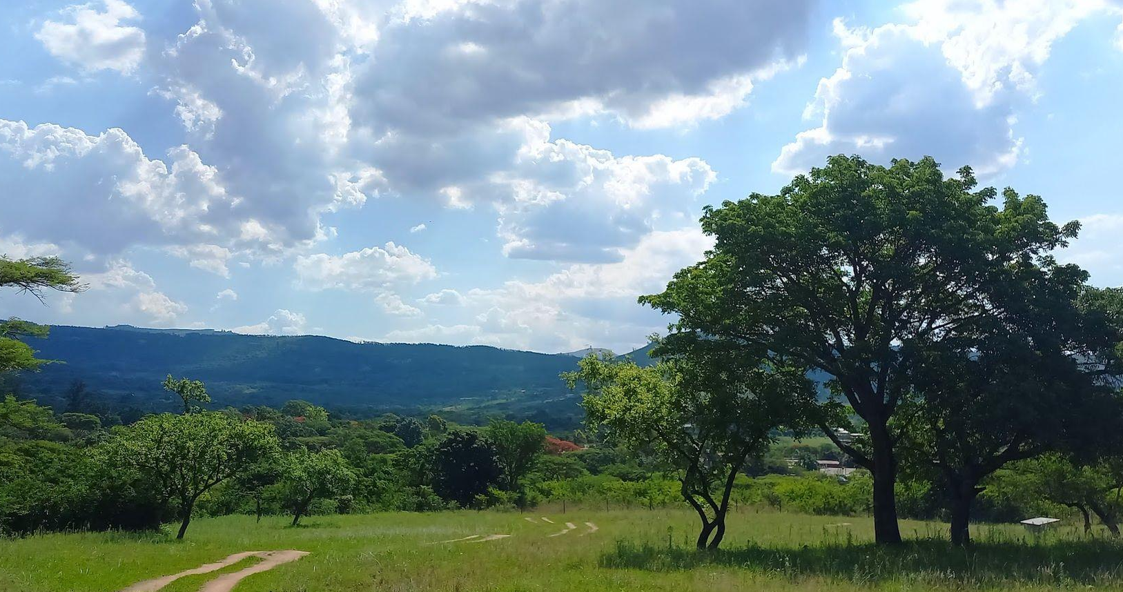 A Rare Opportunity – 5 Hectares of Country Living Close to Town