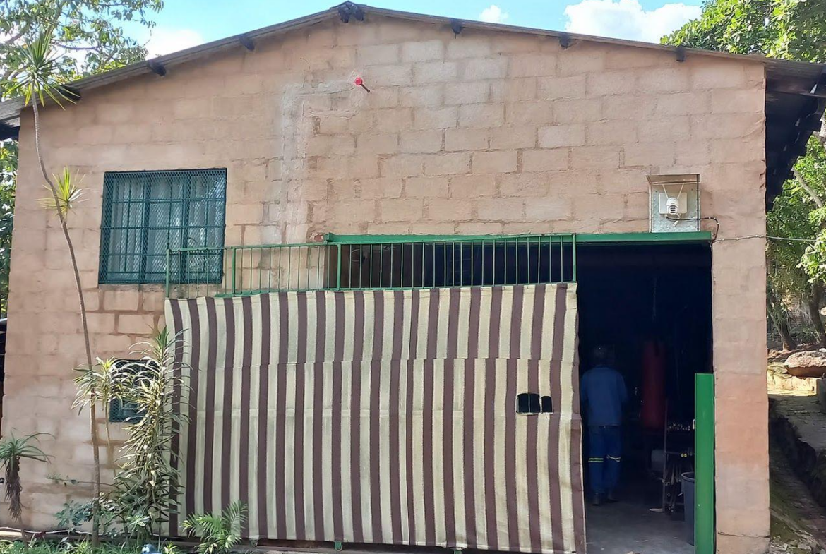 A Rare Opportunity – 5 Hectares of Country Living Close to Town