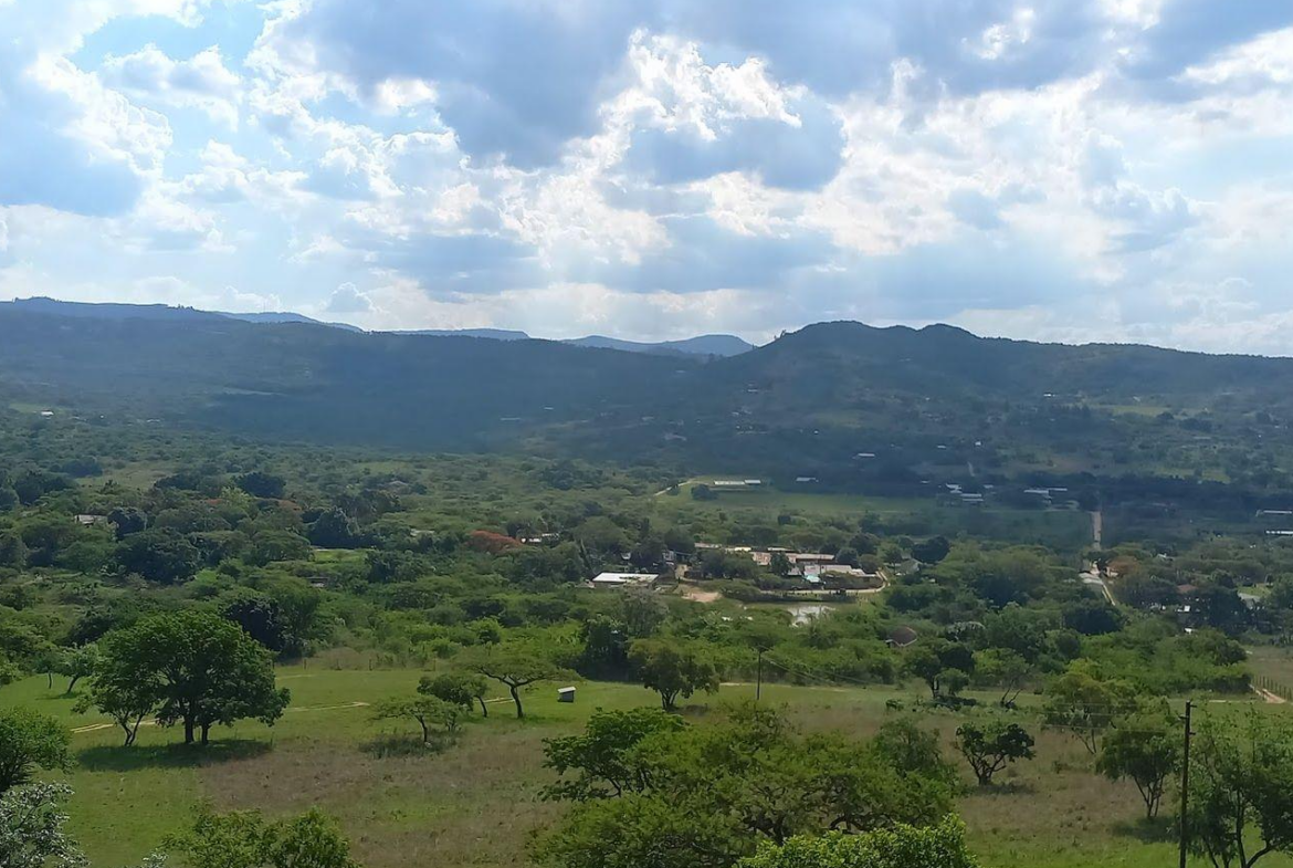 A Rare Opportunity – 5 Hectares of Country Living Close to Town