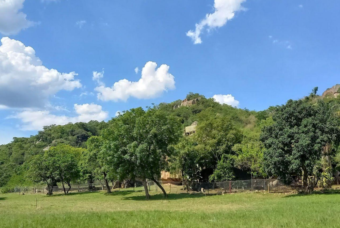A Rare Opportunity – 5 Hectares of Country Living Close to Town