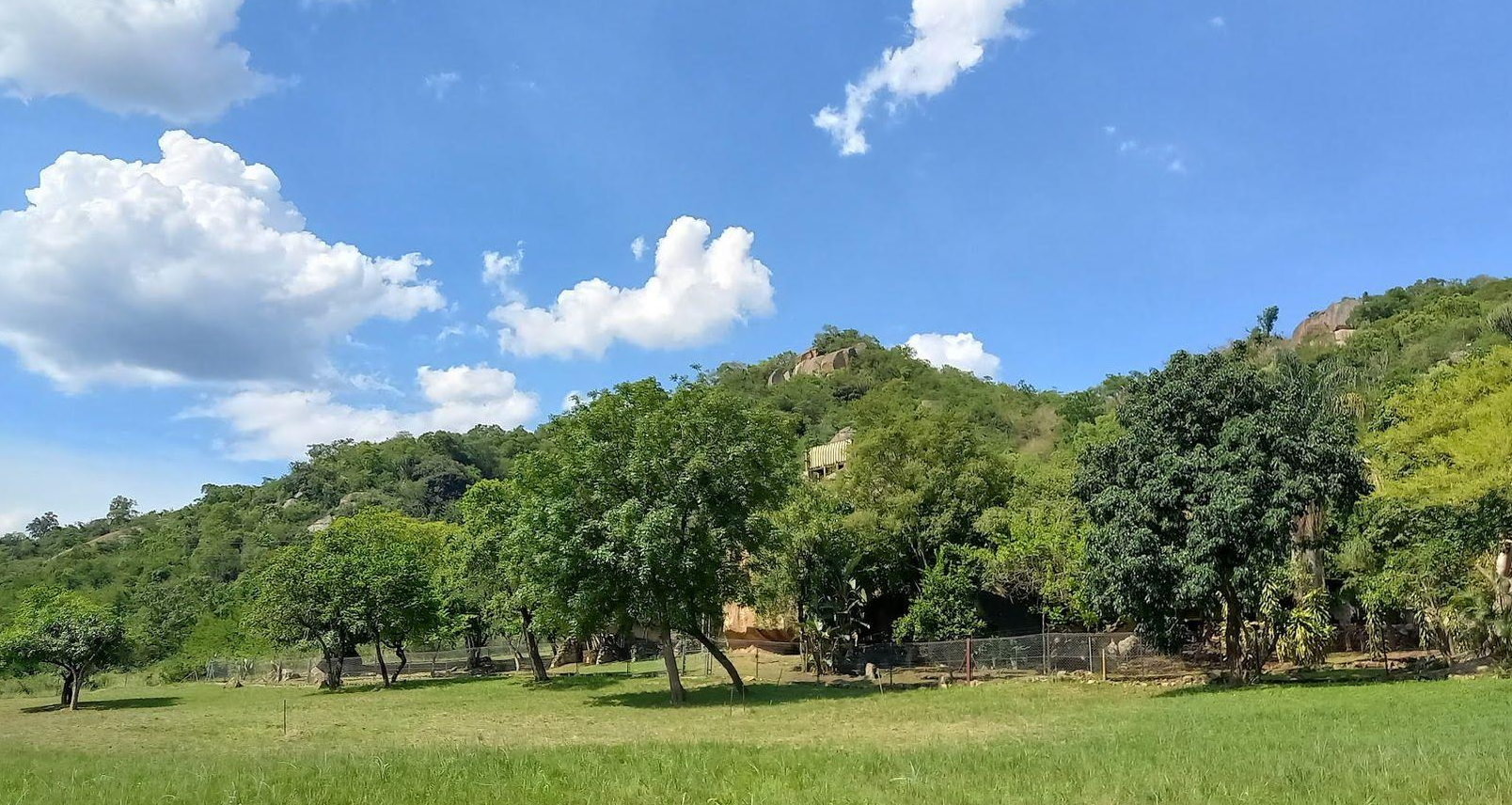 A Rare Opportunity – 5 Hectares of Country Living Close to Town